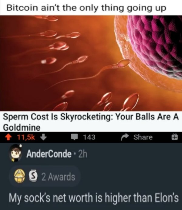 sex memes - orange - Bitcoin ain't the only thing going up Sperm Cost Is Skyrocketing Your Balls Are A Goldmine 1 143 AnderConde 2h on 2 Awards My sock's net worth is higher than Elon's
