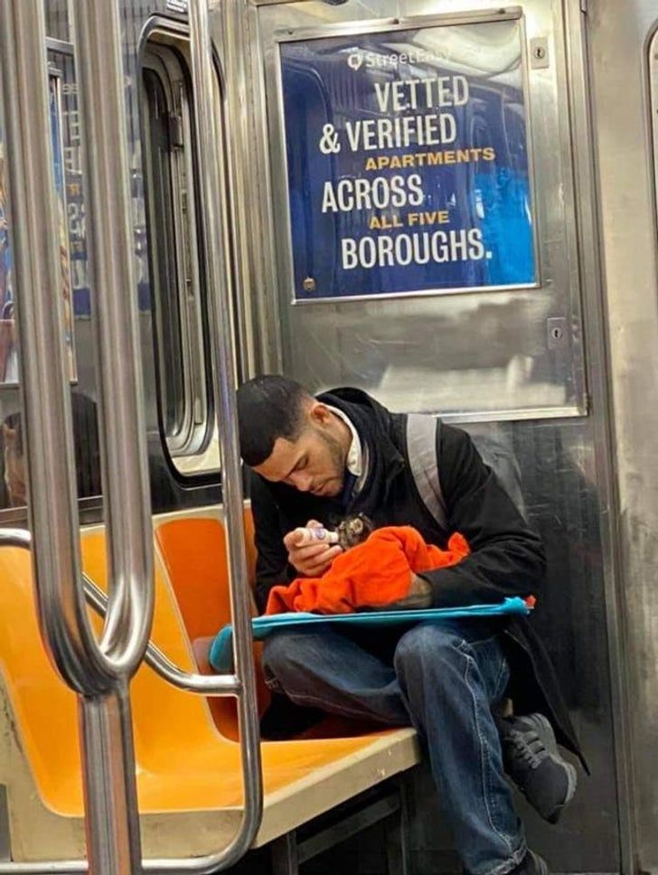 man spotted with tiny kitten on subway - Street Apartments Vetted & Verified Across Boroughs. All Five