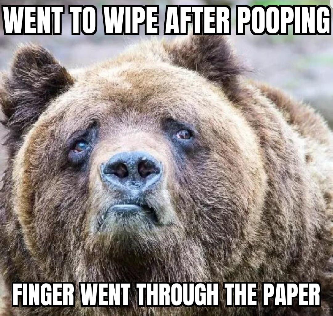 bear of bad news meme - Went To Wipe After Pooping Finger Went Through The Paper