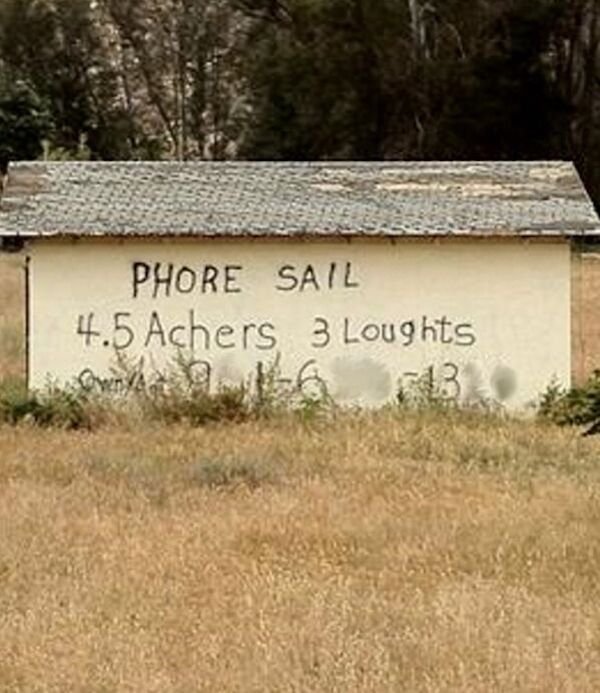 grass - Phore Sail 4.5 Achers 3 Loughts 13