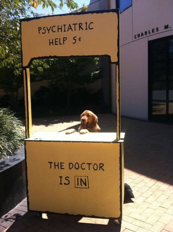 doctor is in dog - Psychiatric Help 54 Charles M. The Doctor Is In