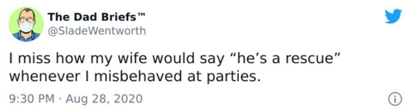 fiction vs fanfiction - The Dad Briefs I miss how my wife would say he's a rescue" whenever I misbehaved at parties.