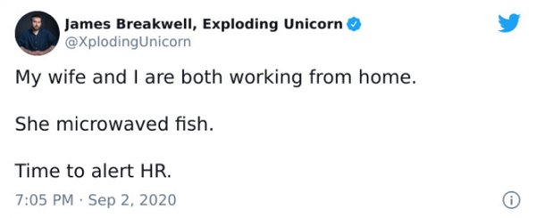 paper - James Breakwell, Exploding Unicorn My wife and I are both working from home. She microwaved fish. Time to alert Hr. .