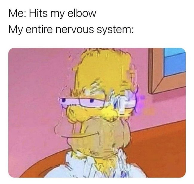 funny memes - homer glitch - Me Hits my elbow My entire nervous system