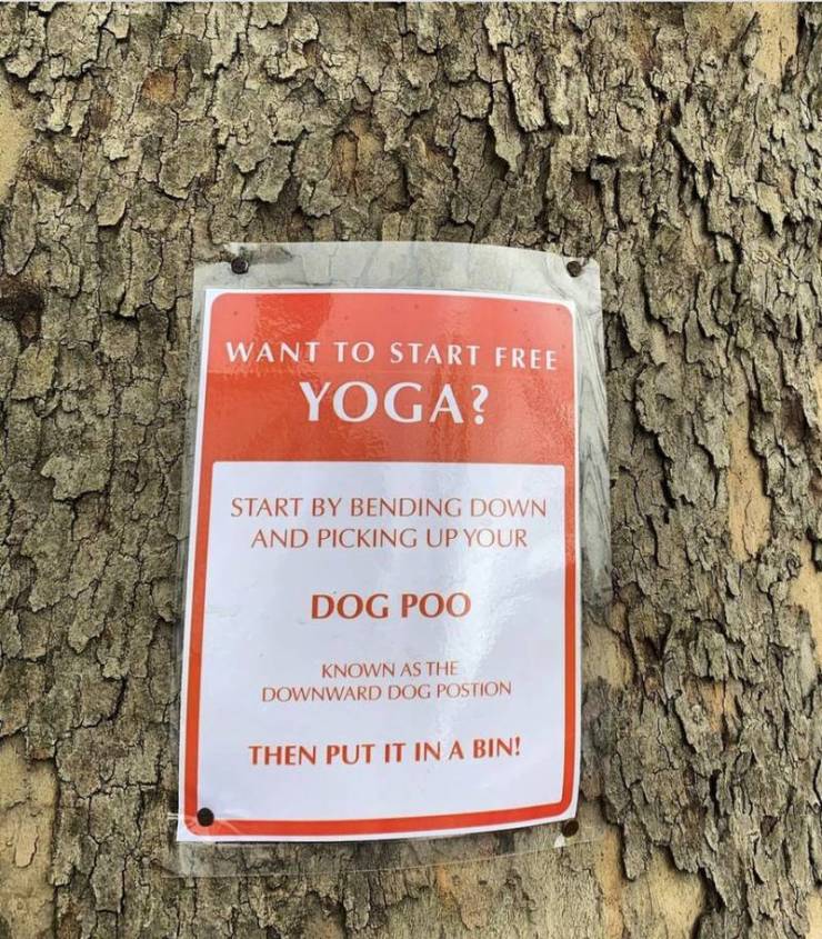 sign - Want To Start Free Yoga? Start By Bending Down And Picking Up Your Dog Poo Known As The Downward Dog Postion Then Put It In A Bin!
