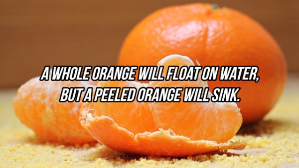 A Whole Orange Will Float On Water, Buta Peeled Orange Will Sink.