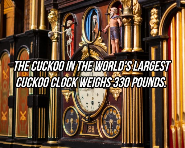 organ - The Cuckoo In The World'S Largest Cuckoo Clock Weighs 330 Pounds 28
