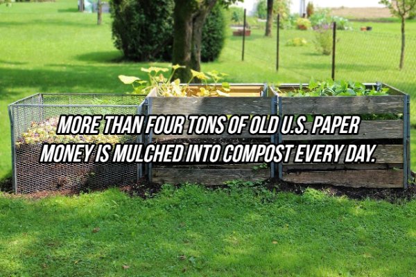 More Than Four Tons Of Old U.S. Paper Money Is Mulched Into Compost Every Day.