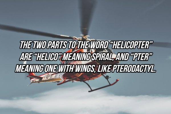 weird superheroes - The Two Parts To The Word "Helicopter" Are "Helico Meaning Spiral, And Pter" Meaning One With Wings, Pterodactyl. Fo