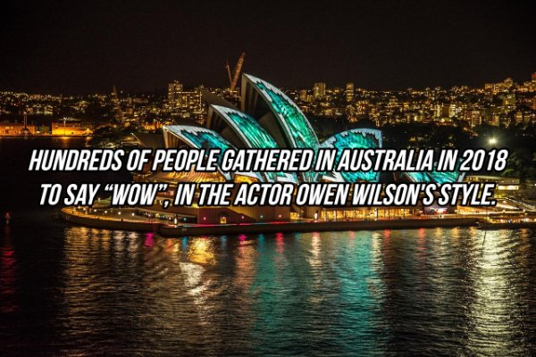 opera house - Hundreds Of People Gathered In Australia In 2018 To Say "Wow", In The Actor Owen Wilson'S Style.