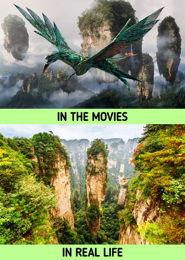 banshee avatar - In The Movies In Real Life