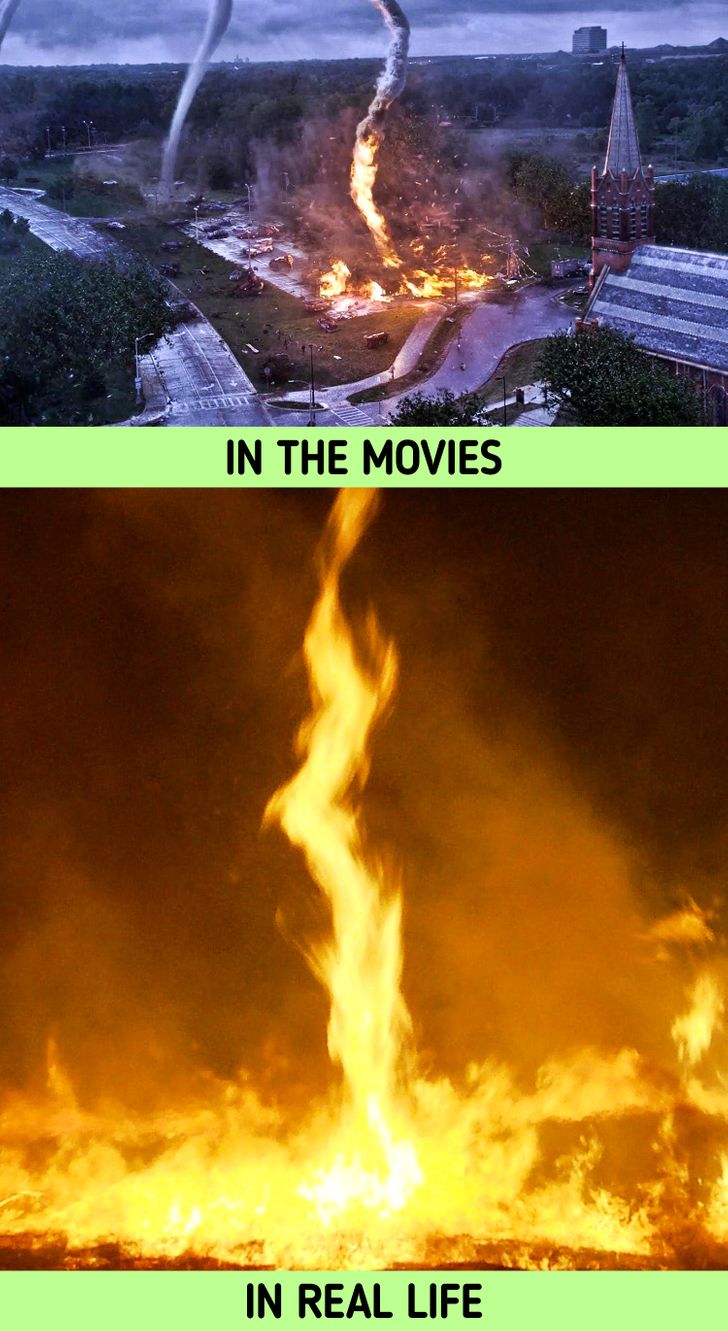 nature - In The Movies In Real Life