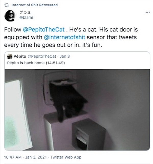 multimedia - t1 Internet of Shit Retweeted 753 . He's a cat. His cat door is equipped with sensor that tweets every time he goes out or in. It's fun. Ppito . Jan 3 Ppito is back home 49 . Twitter Web App