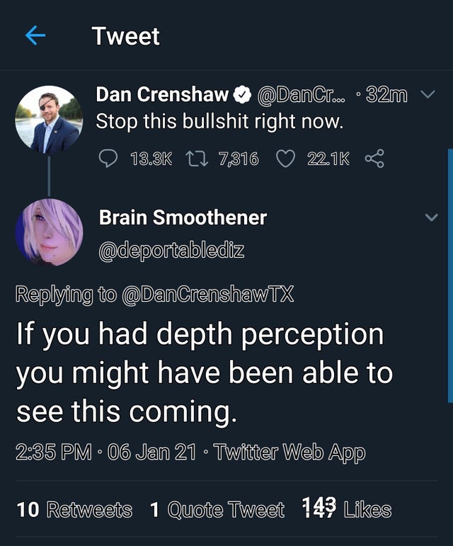 screenshot - k Tweet Dan Crenshaw .o . 32m Stop this bullshit right now. 12 7,316 Brain Smoothener If you had depth perception you might have been able to see this coming. 06 Jan 21 Twitter Web App 10 1 Quote Tweet 143