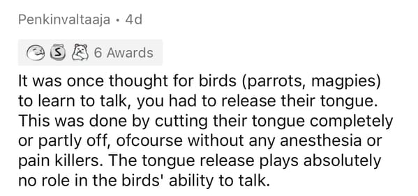 bengali essay for class 3 - Penkinvaltaaja 4d S 6 Awards It was once thought for birds parrots, magpies to learn to talk, you had to release their tongue. This was done by cutting their tongue completely or partly off, ofcourse without any anesthesia or p
