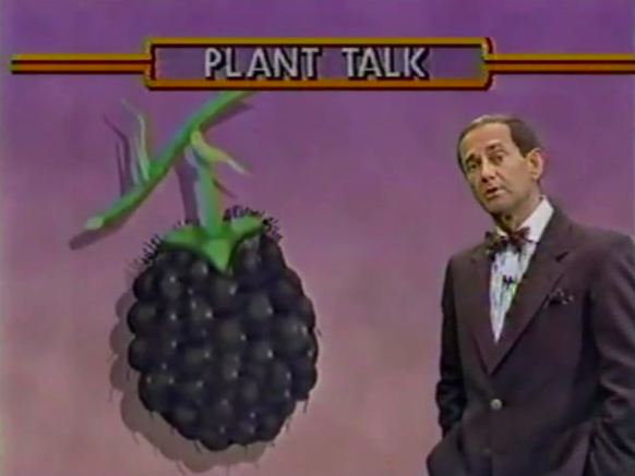 cartoon - Plant Talk