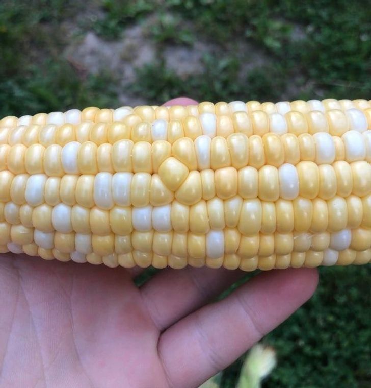 “This one kernel is out of place.”