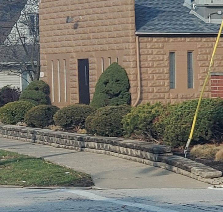 One bush is happy and the other one looks a bit disappointed.