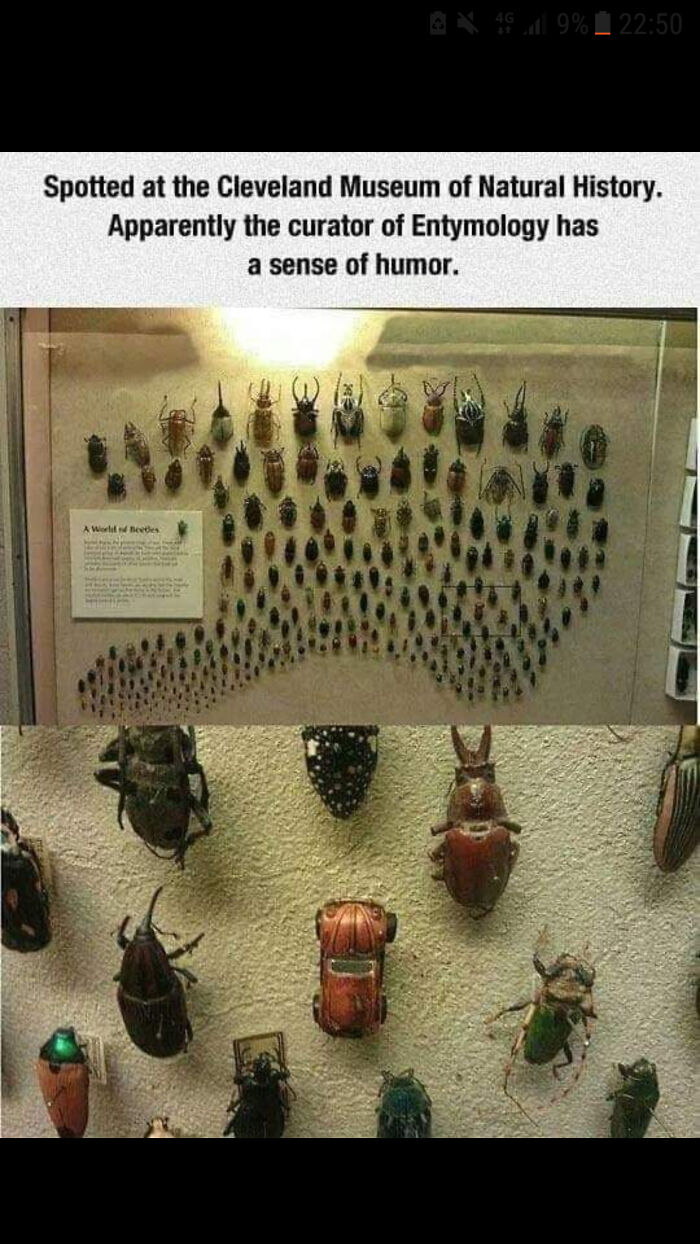 beetle memes - Nad 9% Spotted at the Cleveland Museum of Natural History. Apparently the curator of Entymology has a sense of humor. A Worledes