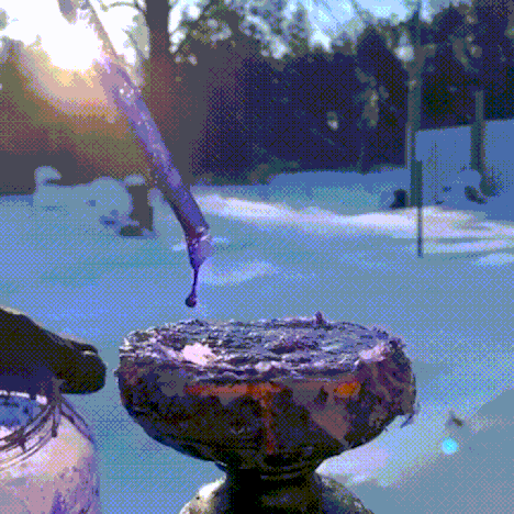 Ice crystals forming on a bubble as it freezes