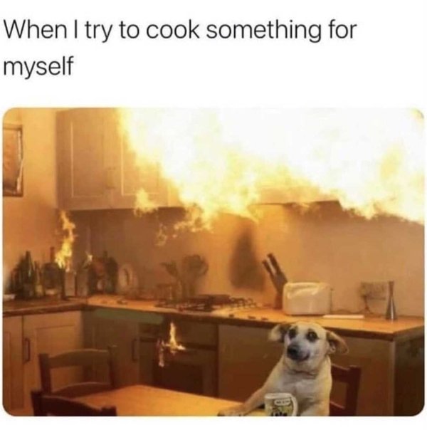 funny memes about adulthood - When I try to cook something for myself