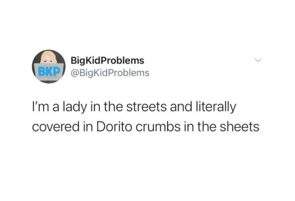 funny memes about adulthood - I'm a lady in the streets and literally covered in Dorito crumbs in the sheets