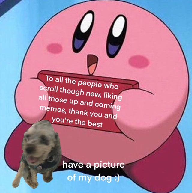 wholesome meme kirby - 0 0 To all the people who scroll though new, liking all those up and coming memes, thank you and you're the best have a picture of my dog