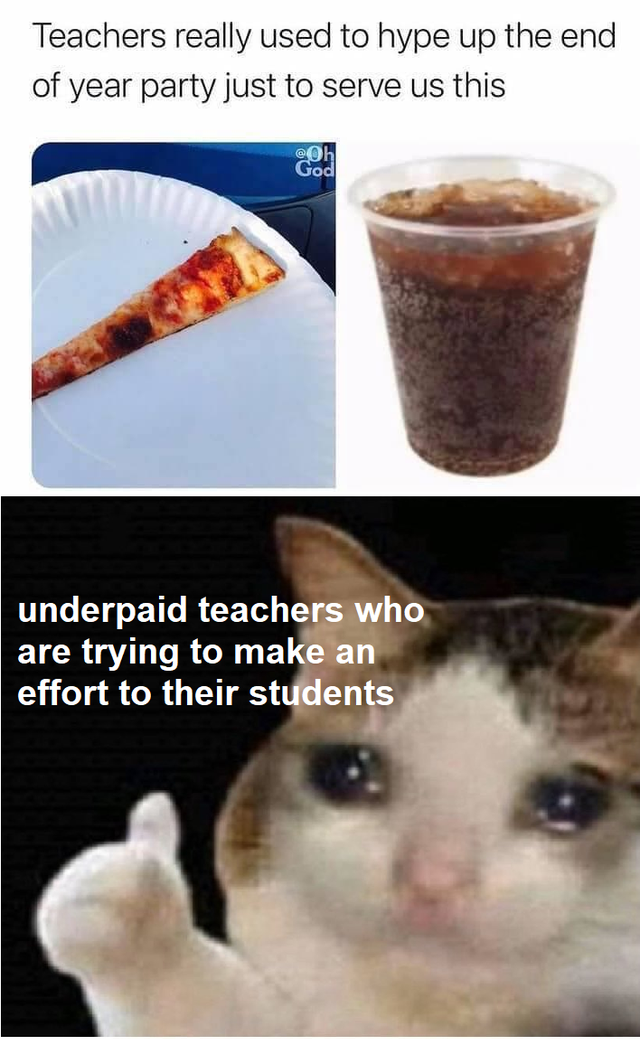 sad reaction image cat - Teachers really used to hype up the end of year party just to serve us this underpaid teachers who are trying to make an effort to their students