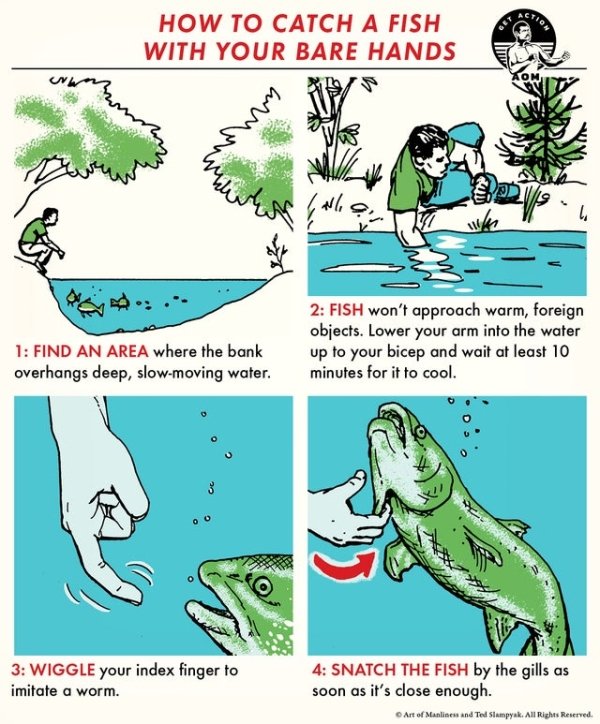 catch a fish - Get How To Catch A Fish With Your Bare Hands wryer , Ps.. 1 Find An Area where the bank overhangs deep, slowmoving water. 2 Fish won't approach warm, foreign objects. Lower your arm into the water up to your bicep and wait at least 10 minut