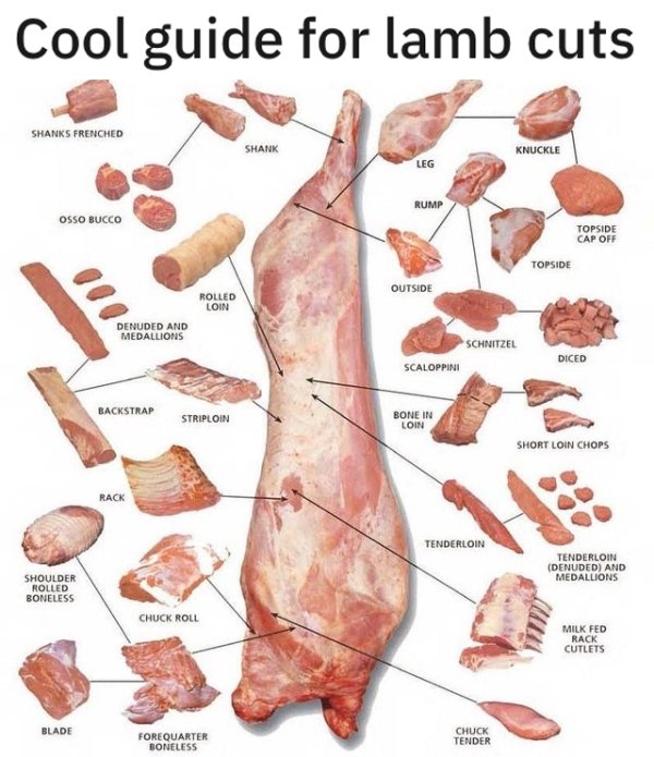 hand - Cool guide for lamb cuts Shanks Frenched Shank Knuckle Leg Rump Osso Bucco Topside Cap Off Topside Outside Rolled Loin Denuded And Medallions Schnitzel Scaloppini Diced Backstrap Striploin Bone In Loin Short Loin Chops Rack Tenderloin Tenderloin De