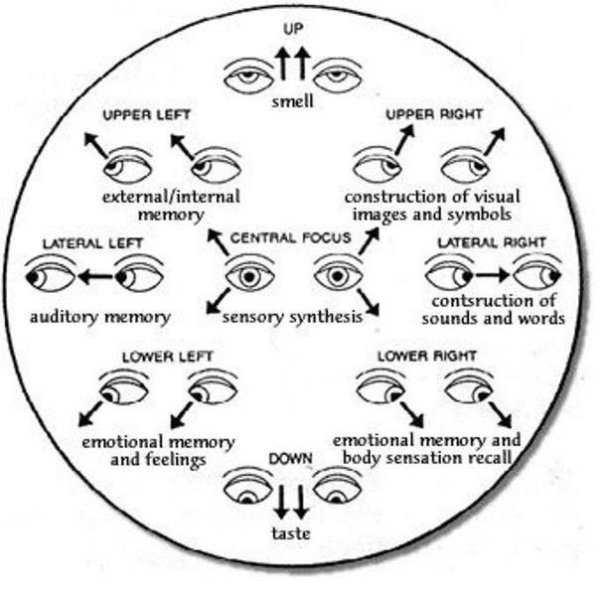 eye body language - Up smell Upper Left Upper Right externalinternal construction of visual memory images and symbols Lateral Left Central Focus Lateral Right auditory memory sensory synthesis contsruction of sounds and words Lower Right Lower Left emotio