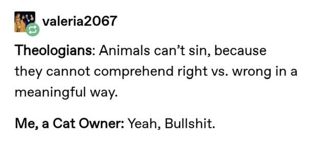 funny jokes - Theologians Animals can't sin, because they cannot comprehend right vs. wrong in a meaningful way. Me, a Cat Owner Yeah, Bullshit.