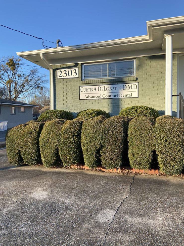 “This dental office trims their shrubs to look like molars.”