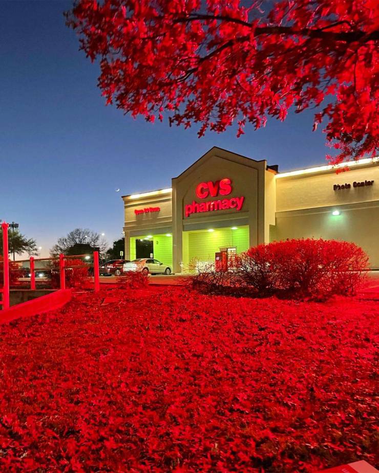 “The way the light turns all leafs red in this CVS near by my apartment.”