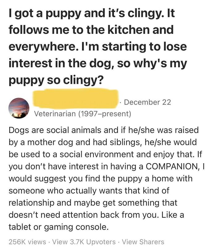 angle - I got a puppy and it's clingy. It s me to the kitchen and everywhere. I'm starting to lose interest in the dog, so why's my puppy so clingy? December 22 Veterinarian 1997present Dogs are social animals and if heshe was raised by a mother dog and h