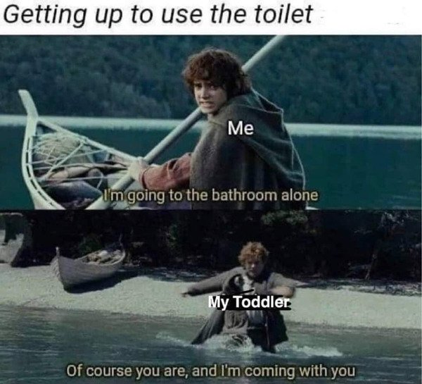 coronavirus lotr memes - Getting up to use the toilet Me I'm going to the bathroom alone My Toddler Of course you are, and I'm coming with you