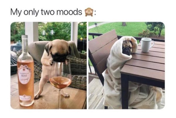 my only two moods meme - My only two moods Rosi