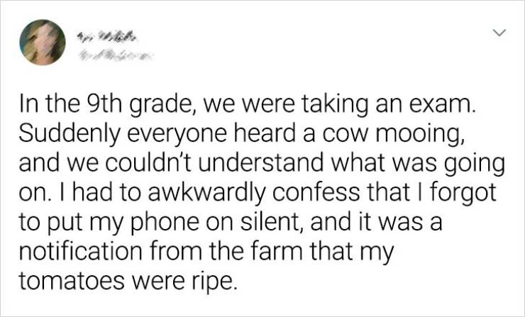 document - > In the 9th grade, we were taking an exam. Suddenly everyone heard a cow mooing, and we couldn't understand what was going on. I had to awkwardly confess that I forgot to put my phone on silent, and it was a notification from the farm that my 