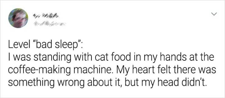 paper - > Level bad sleep" I was standing with cat food in my hands at the coffeemaking machine. My heart felt there was something wrong about it, but my head didn't.