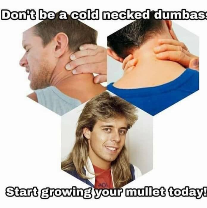 funny memes - Don't be a cold necked dumbass Start growing your mullet today!