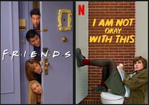 funny memes - friends - I am Not Okay With This Friends - funny netflix memes
