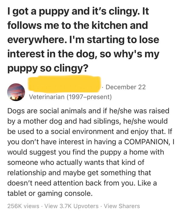 funny pics of anything - I got a puppy and it's clingy. It s me to the kitchen and everywhere. I'm starting to lose interest in the dog, so why's my puppy so clingy? December 22 Veterinarian 1997present Dogs are social animals and if heshe was raised by a