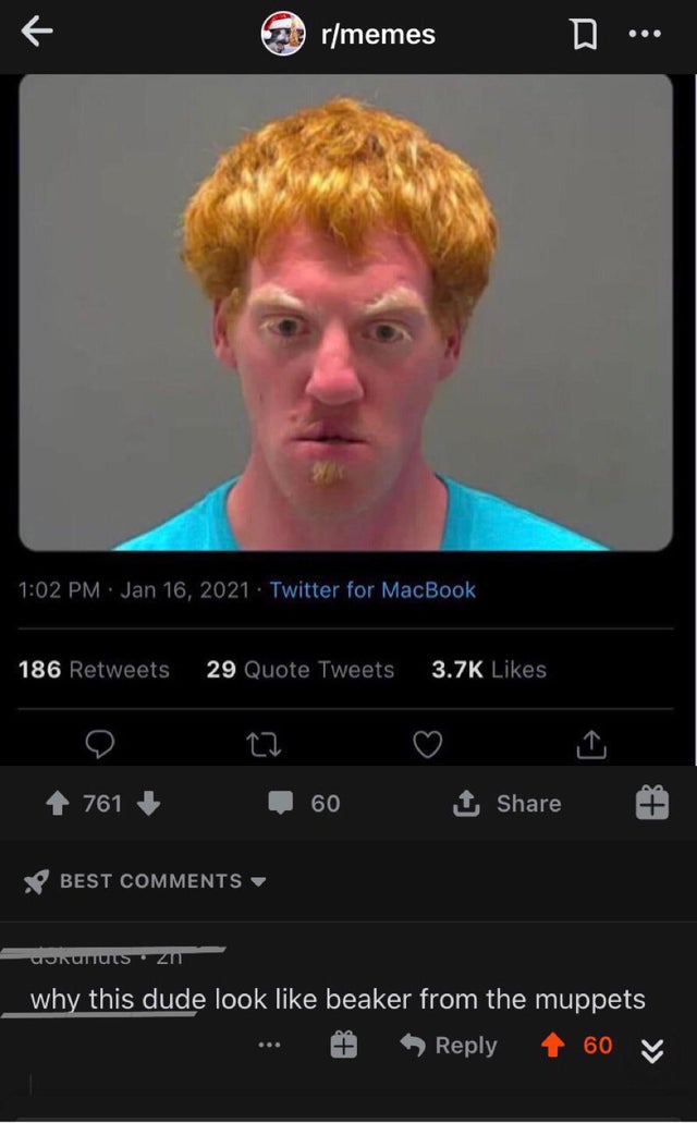 video - rmemes D ... Twitter for MacBook 186 29 Quote Tweets 761 60 1 Best Uonuttuis. Zn why this dude look beaker from the muppets 60 V