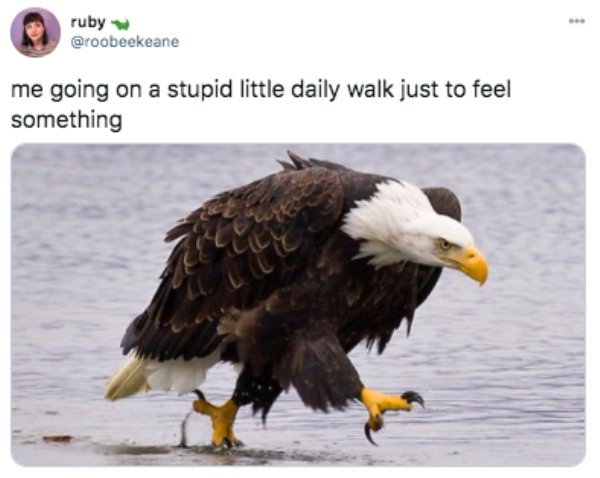 bald eagle mask meme - ruby w me going on a stupid little daily walk just to feel something