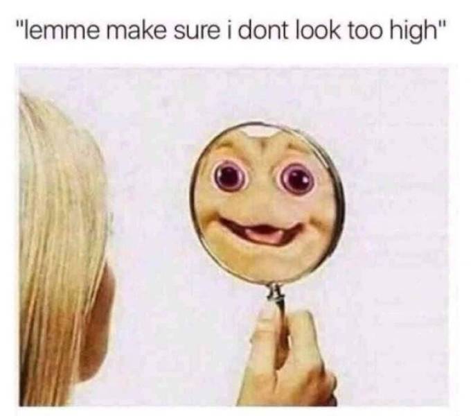 wait lemme make sure i don t look high - "lemme make sure i dont look too high"