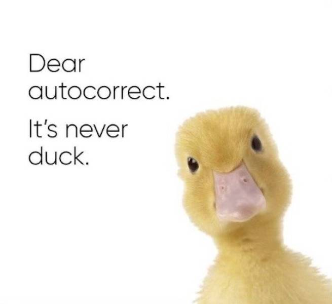 dear autocorrect it's never duck - Dear autocorrect. It's never duck.