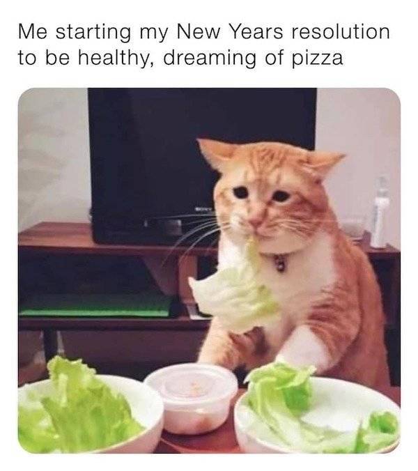 cat meme mood - Me starting my New Years resolution to be healthy, dreaming of pizza