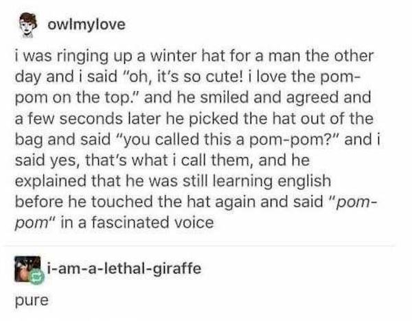 owimylove i was ringing up a winter hat for a man the other day and i said "oh, it's so cute! i love the pom pom on the top." and he smiled and agreed and a few seconds later he picked the hat out of the bag and said "you called this a pompom?" and i said