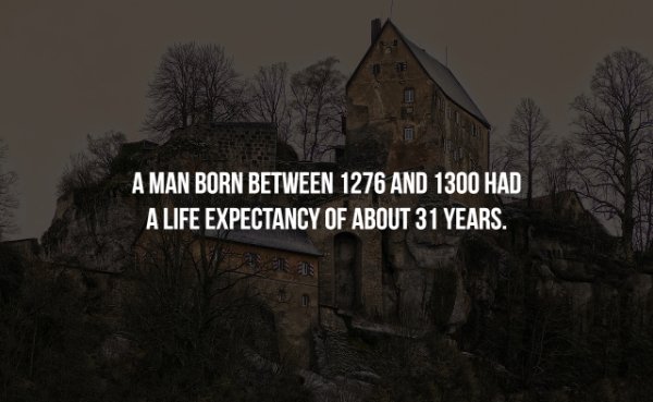 tree - A Man Born Between 1276 And 1300 Had A Life Expectancy Of About 31 Years.