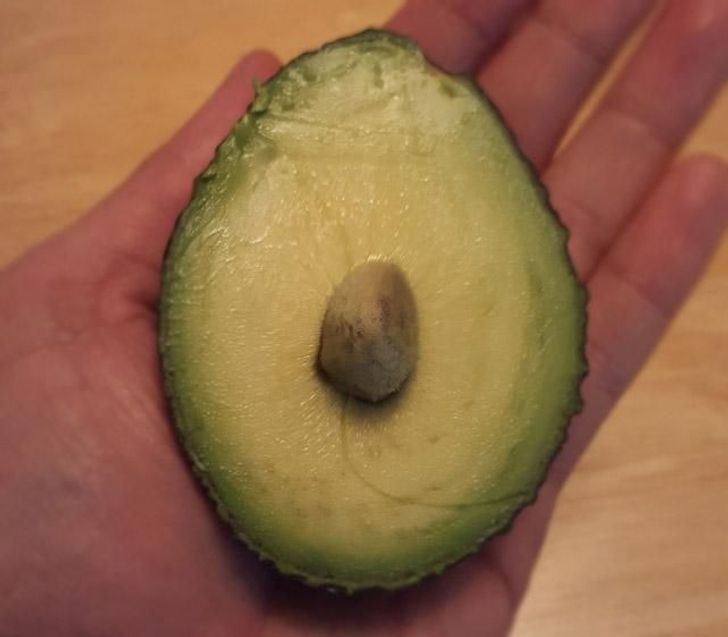 “It’s my lucky day. It’s the first time I’ve gotten an avocado with such a small pit. Maybe I should go buy a lottery ticket.”